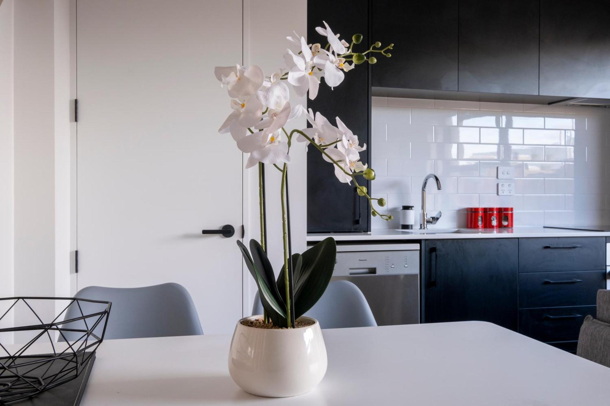Luxury 2 Bed Townhome In Cbd Christchurch Zewnętrze zdjęcie